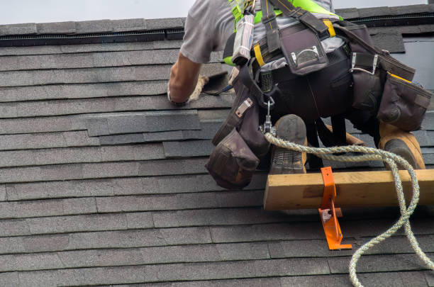 Best Roof Gutter Cleaning  in Marmora, NJ